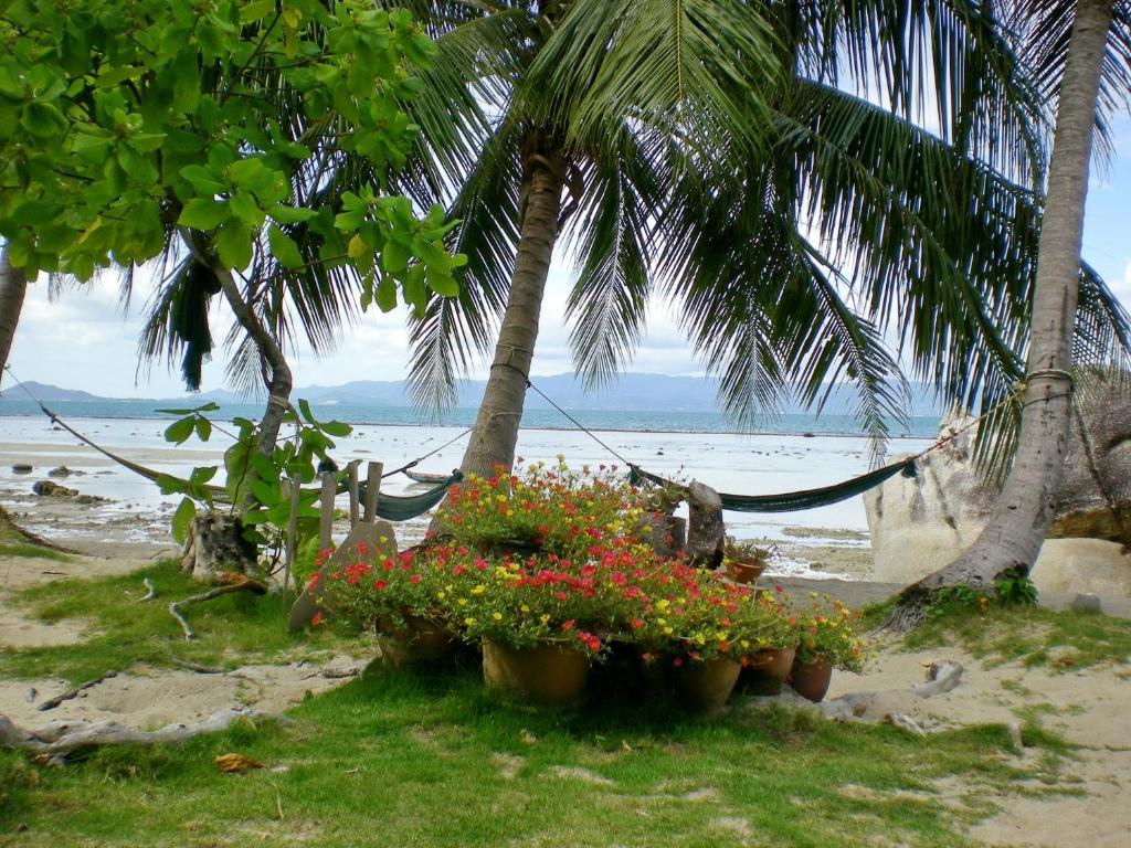 Thong Yang Bungalow Ko Pha Ngan Ngoại thất bức ảnh