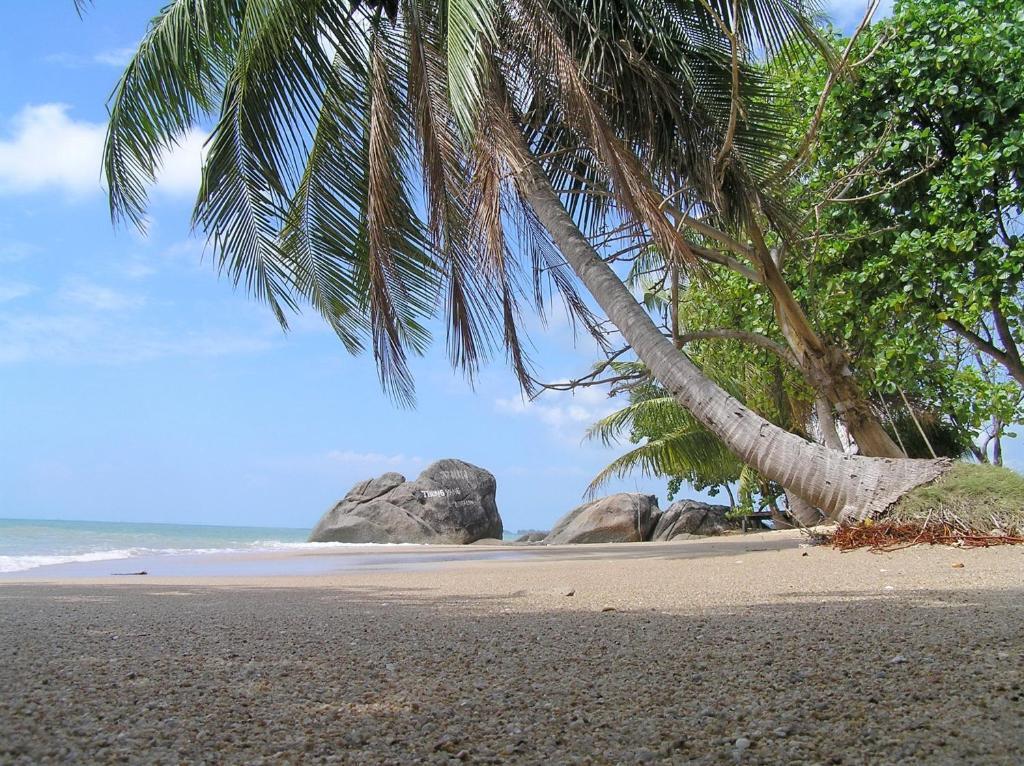 Thong Yang Bungalow Ko Pha Ngan Ngoại thất bức ảnh